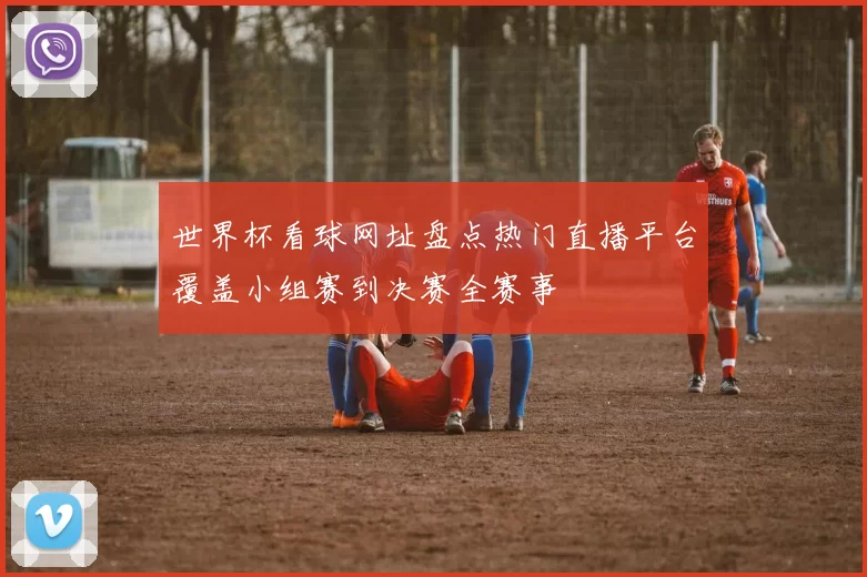 世界杯看球网址盘点热门直播平台覆盖小组赛到决赛全赛事