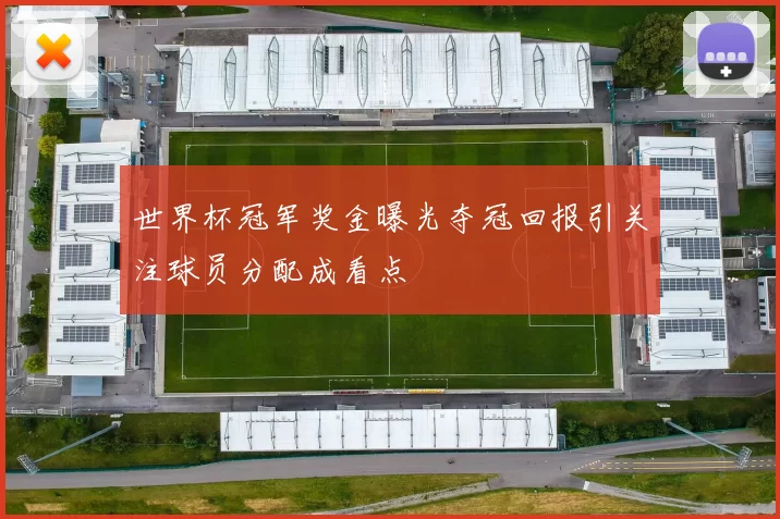 世界杯冠军奖金曝光夺冠回报引关注球员分配成看点